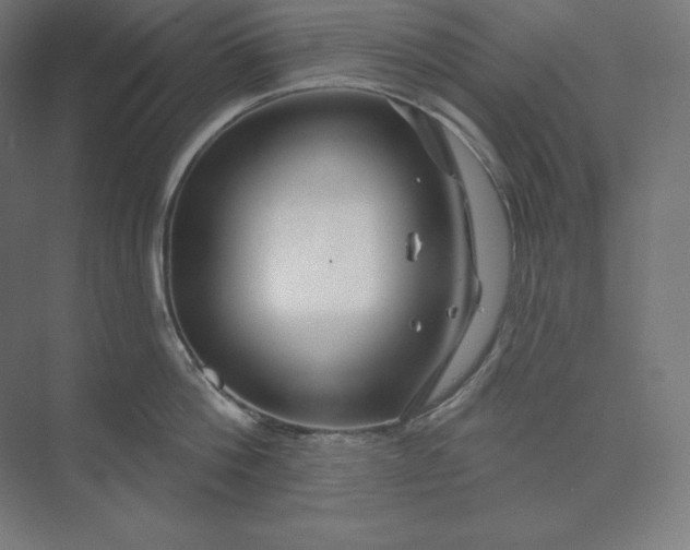 X0000074020812200609061114