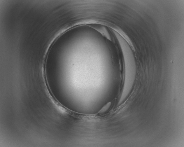 X0000074020813200609061114