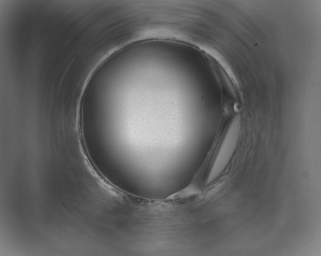 X0000074020815200609061114
