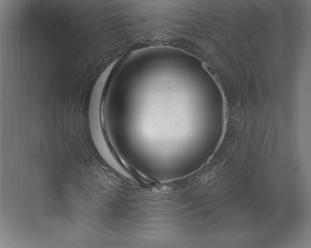 X0000074020818200609061113