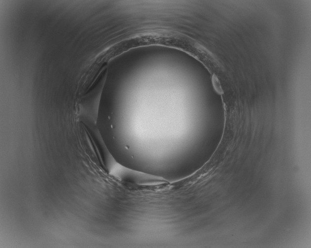 X0000074020822200609061113