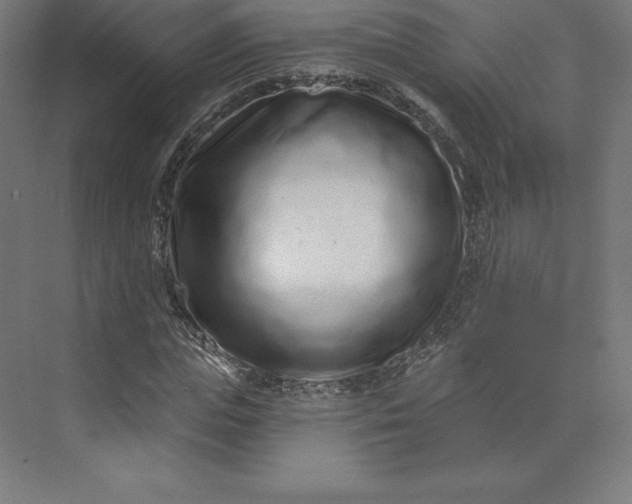 X0000074020823200609061113
