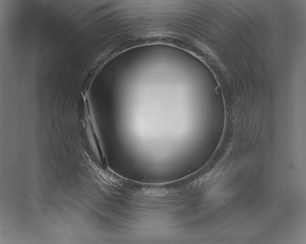 X0000074020825200609061113