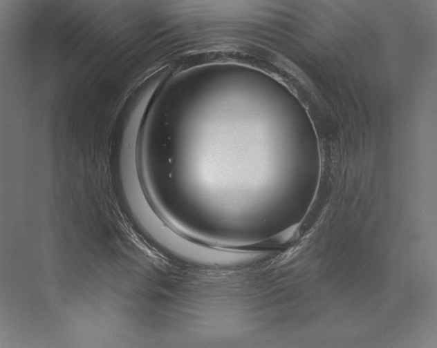 X0000074020826200609061113
