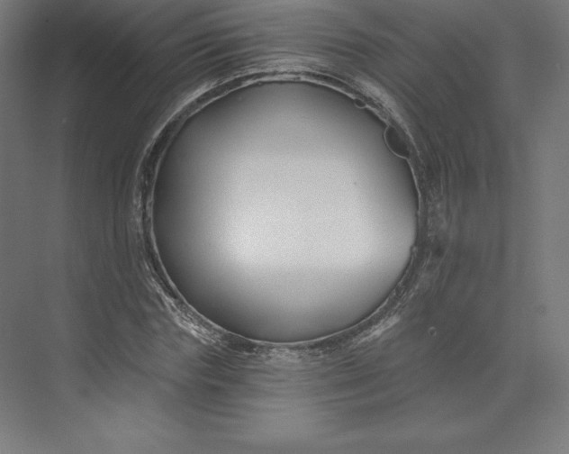 X0000074020827200609061113