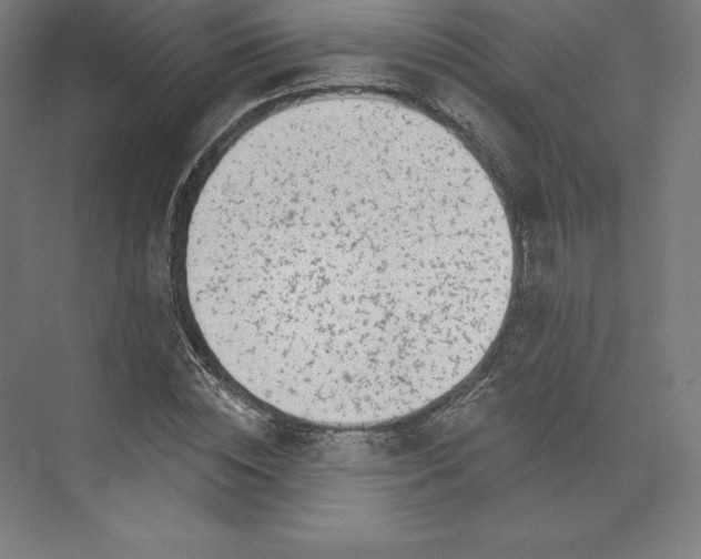 X0000074020828200609061113