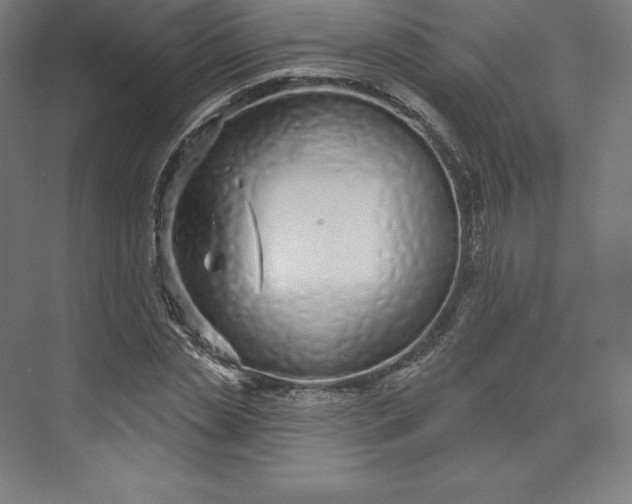 X0000074020829200609061113