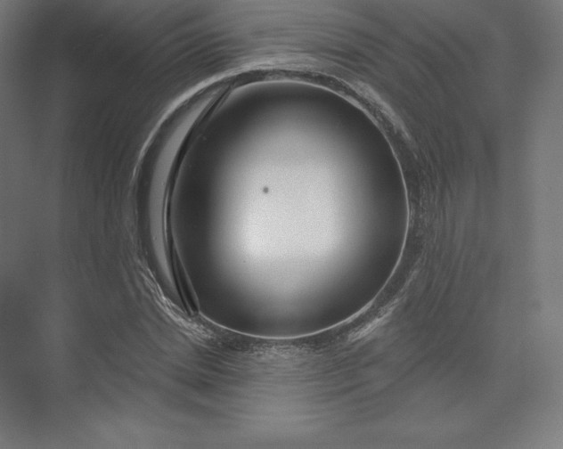X0000074020830200609061113