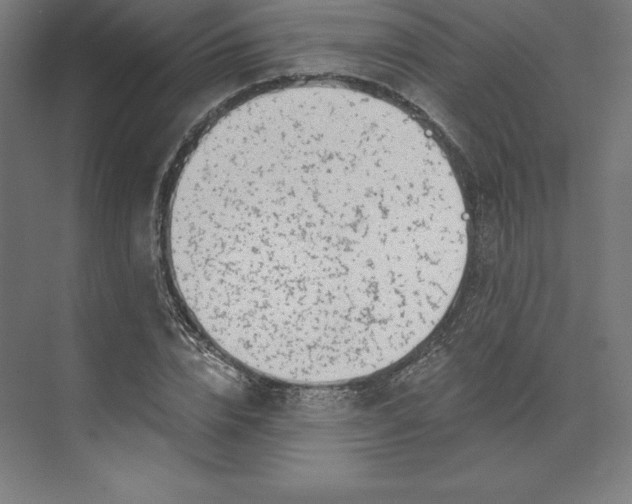 X0000074020832200609061113