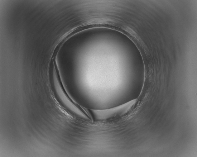X0000074020834200609061113