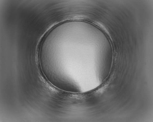 X0000074020835200609061113