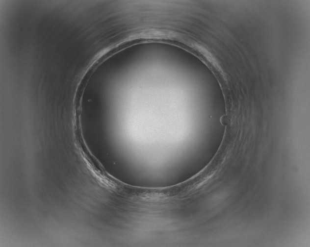X0000074020837200609061113