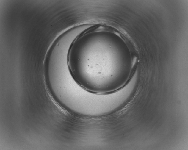 X0000074020838200609061113
