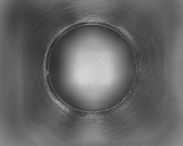X0000074020840200609061113