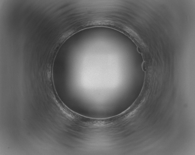 X0000074020841200609061113