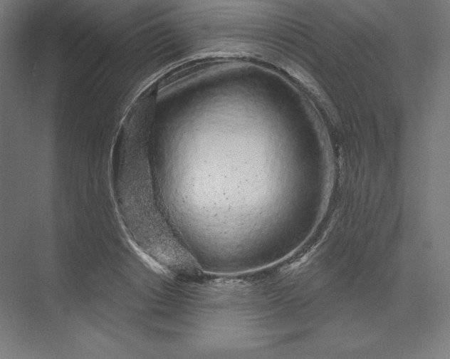 X0000074020842200609061113
