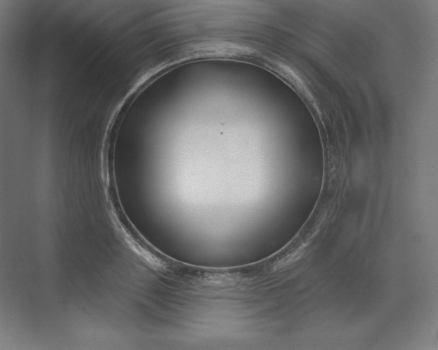 X0000074020843200609061113
