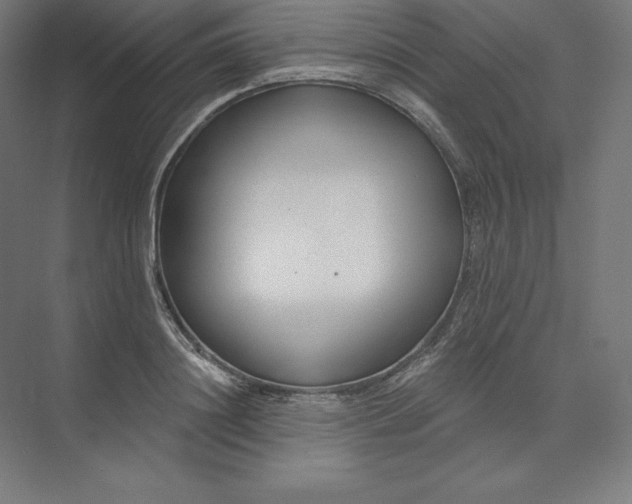 X0000074020844200609061113