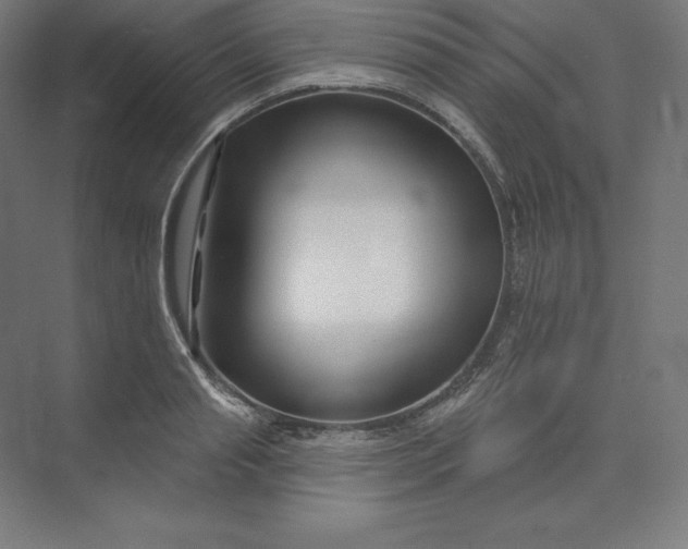 X0000074020845200609061113