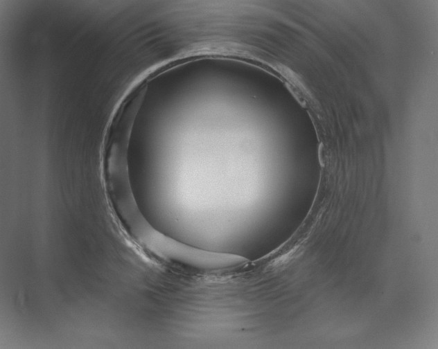 X0000074020846200609061113