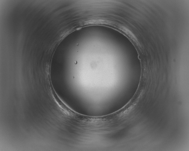 X0000074020849200609061113