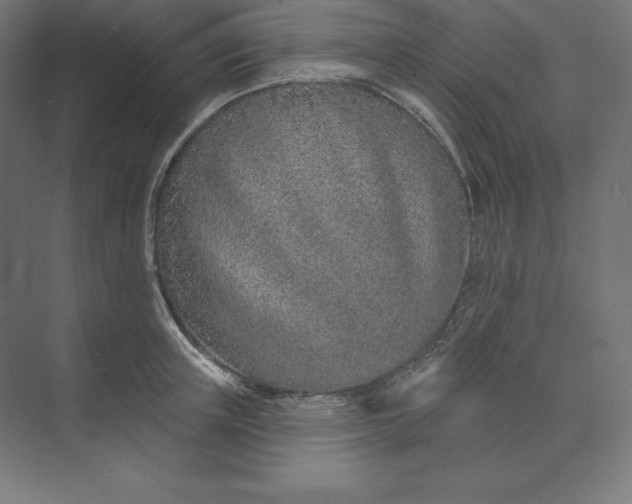 X0000074020851200609061113