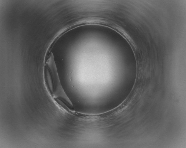 X0000074020853200609061113