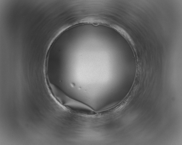 X0000074020855200609061114