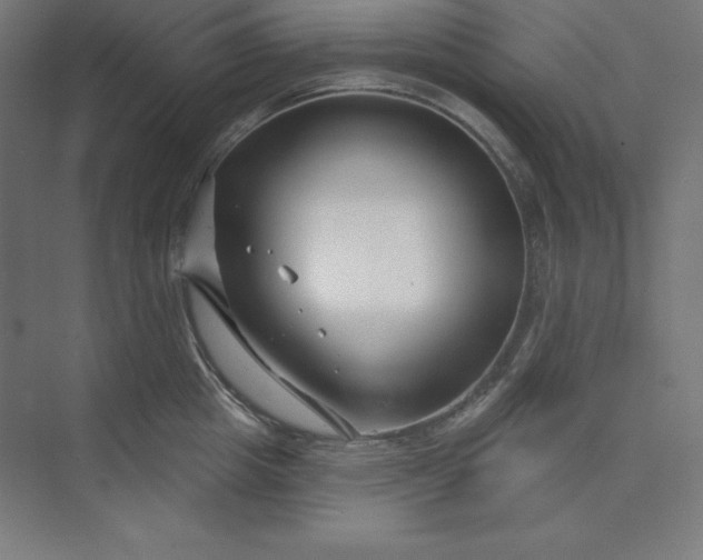 X0000074020857200609061114