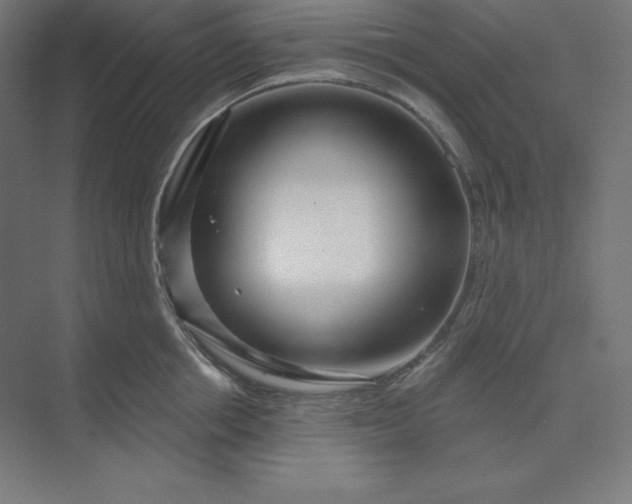 X0000074020858200609061114