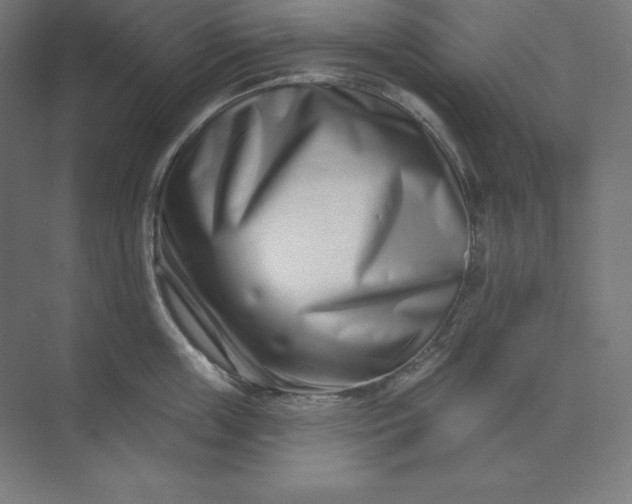 X0000074020859200609061114
