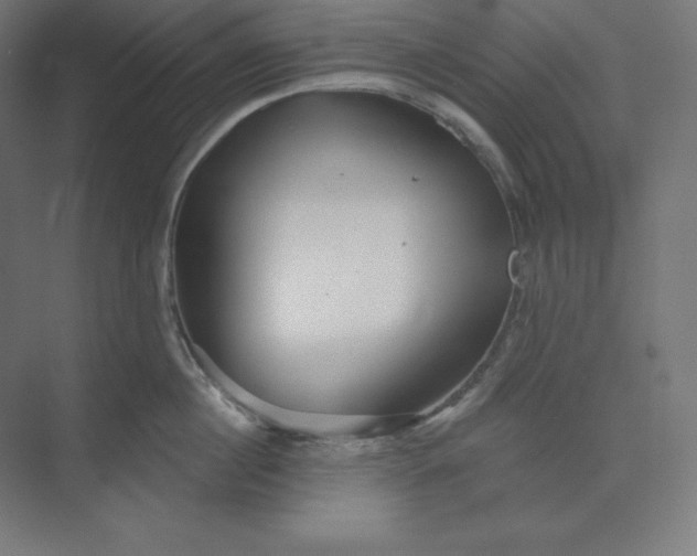 X0000074020860200609061114