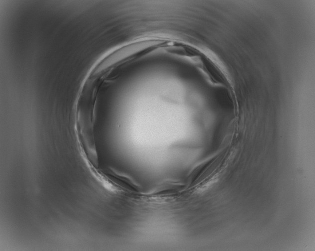 X0000074020862200609061114