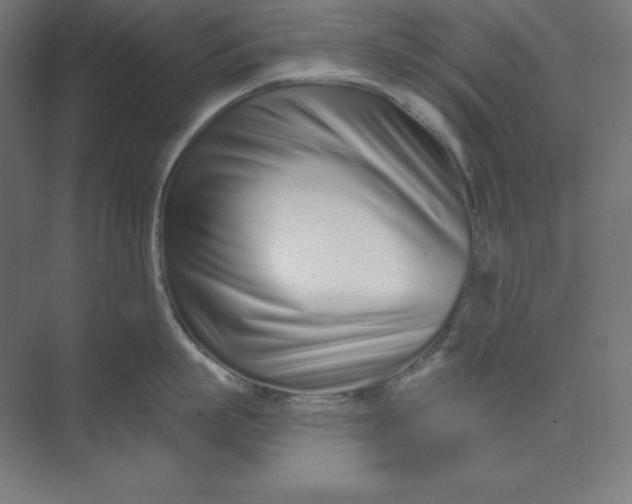 X0000074020863200609061114