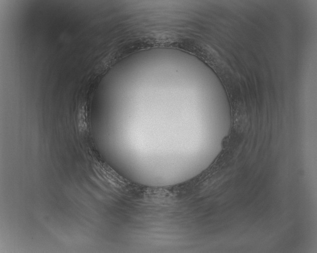 X0000074020866200609061113