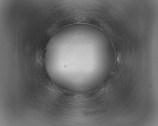 X0000074020867200609061113
