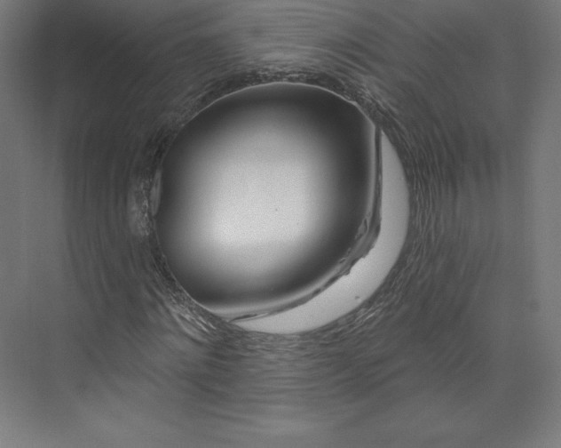 X0000074020868200609061113