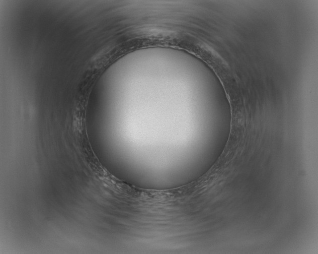 X0000074020869200609061113