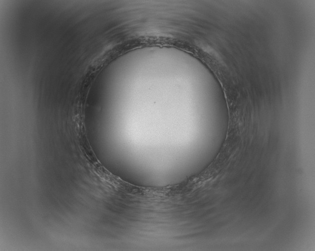 X0000074020870200609061113
