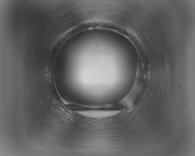X0000074020872200609061113