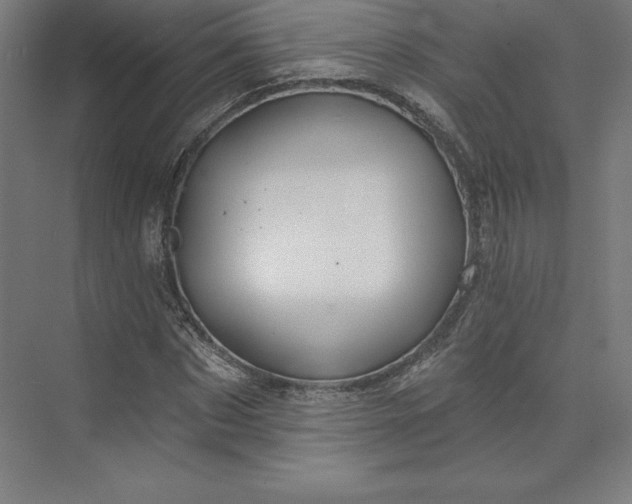 X0000074020873200609061113