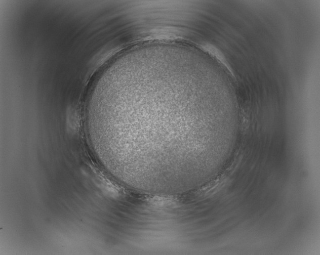 X0000074020874200609061113