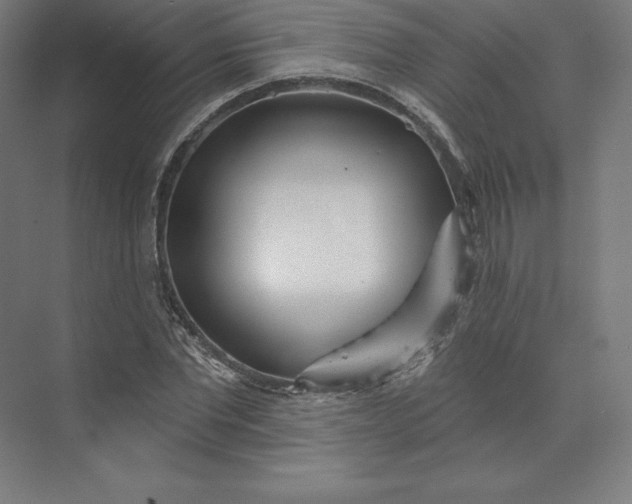 X0000074020877200609061113
