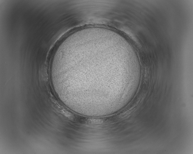 X0000074020878200609061113