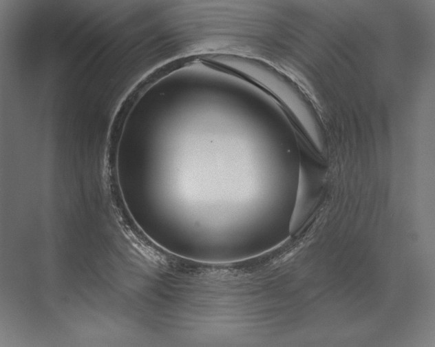 X0000074020880200609061113