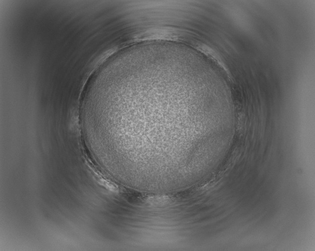 X0000074020882200609061113