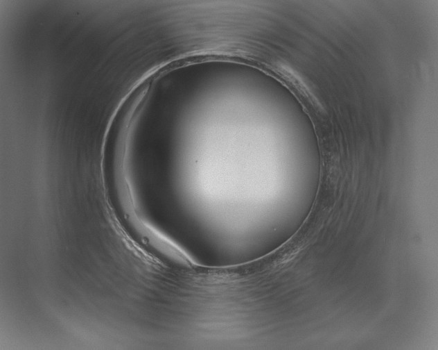 X0000074020884200609061113