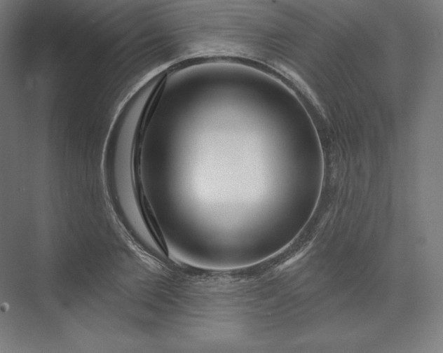 X0000074020885200609061113