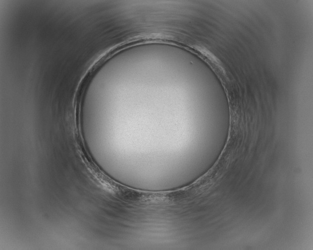 X0000074020886200609061113