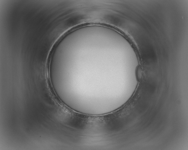 X0000074020887200609061112